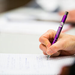 Hier eine alternative Textbeschreibung