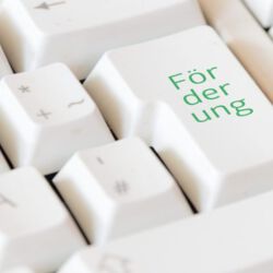 Hier eine alternative Textbeschreibung