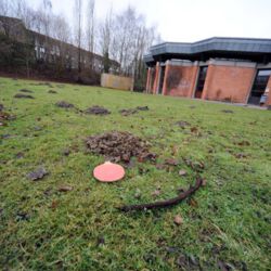 Hier eine alternative Textbeschreibung