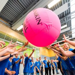 Hier eine alternative Textbeschreibung